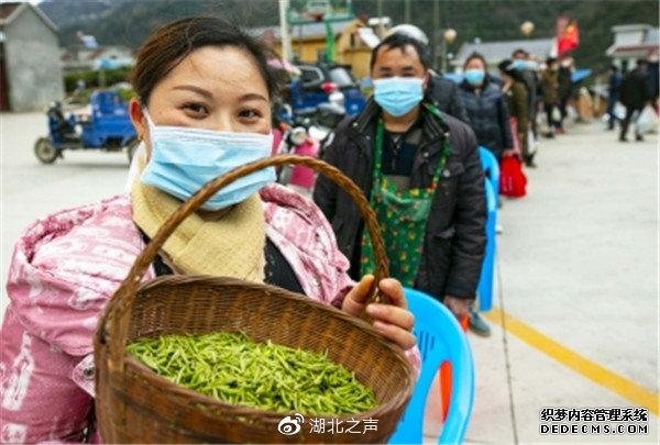 “鄂”有好茶|6万份五峰爱心春茶送亲人……