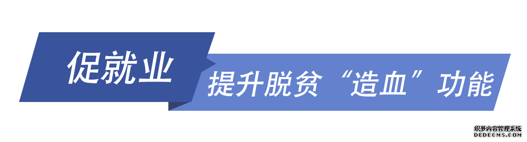 战“疫”中，习近平总书记始终牵挂困难群众