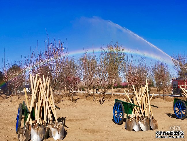 时政新闻眼丨又是一年植树时，习近平表达的这些信息不同寻常