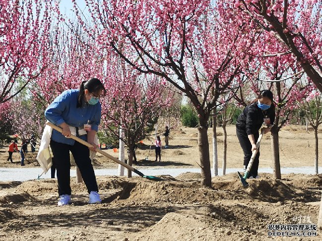 时政新闻眼丨又是一年植树时，习近平表达的这些信息不同寻常