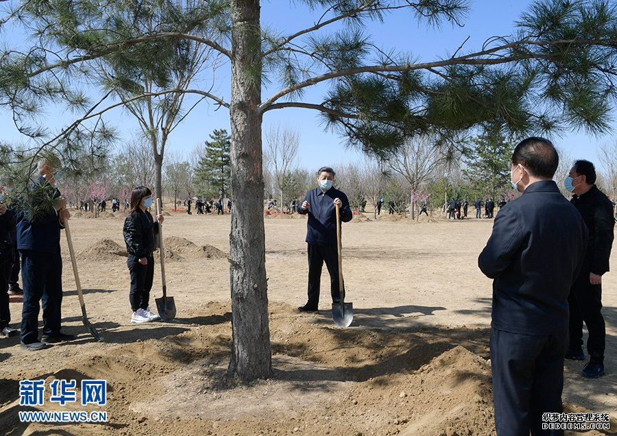 习近平在参加首都义务植树活动时强调 牢固树立绿水青山就是金山银山理念 打造青山常在绿水长流空气常新美丽中国