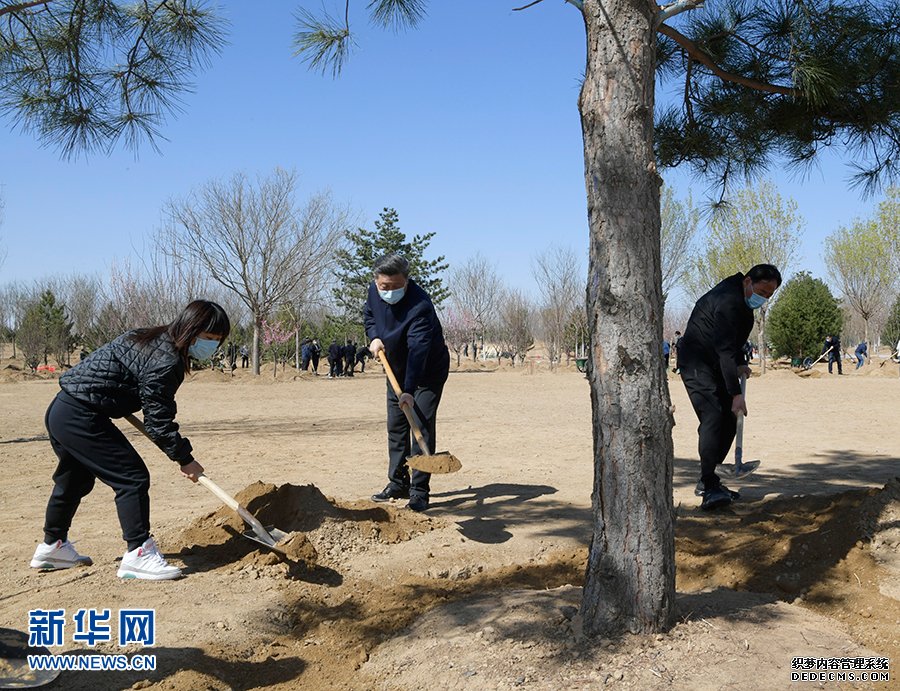 习近平在参加首都义务植树活动时强调 牢固树立绿水青山就是金山银山理念 打造青山常在绿水长流空气常新美丽中国