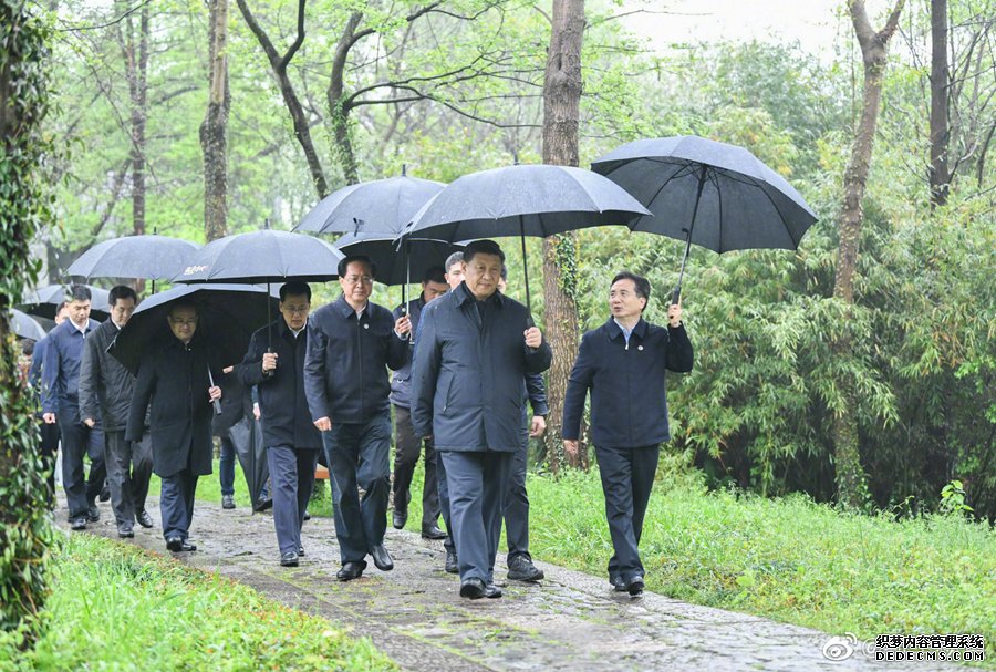 习近平：让湿地公园成为人民群众共享的绿意空间