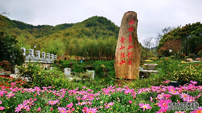 时政新闻眼丨时隔15年，习近平重访安吉宣示了什么